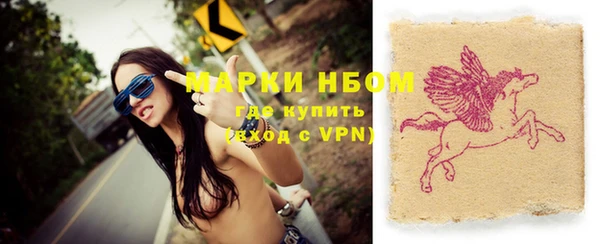 индика Новокубанск