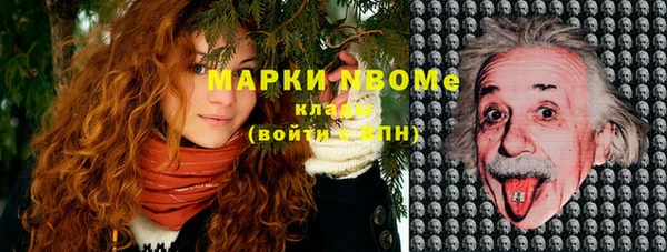 прущие крисы Новодвинск