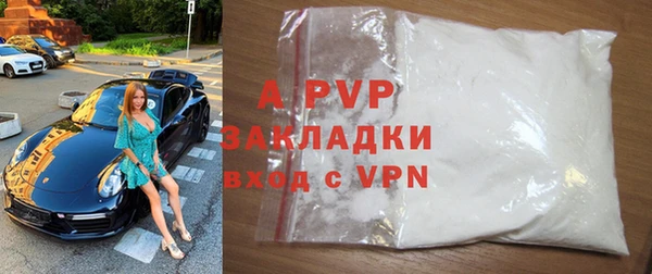 индика Новокубанск