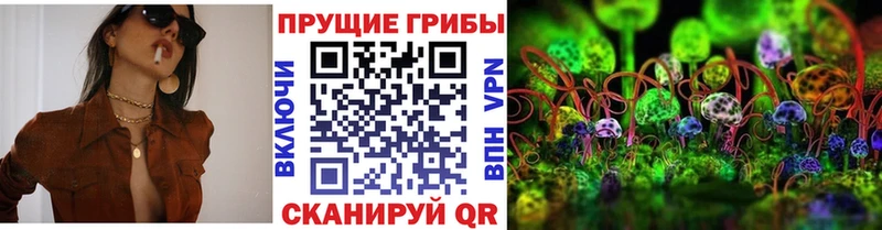 Галлюциногенные грибы Psilocybine cubensis ссылка на мегу Белорецк